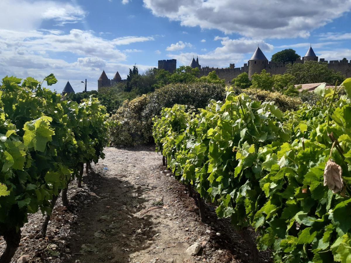 Domaine Fontgrande Gite Carcasona Exterior foto